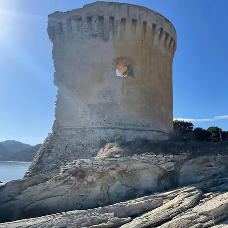 Corse Anna * Vescovato