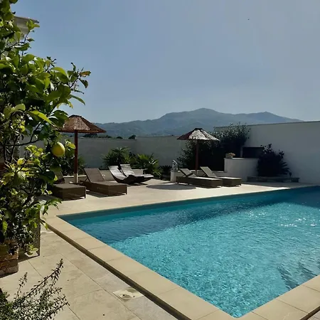 Corse Anna Vescovato